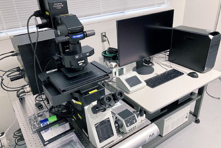 共焦点レーザー走査型顕微鏡 FV3000