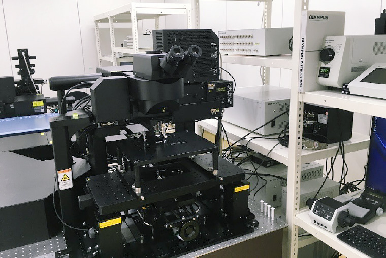 多光子励起顕微鏡FVMPE-RS-SS-SP